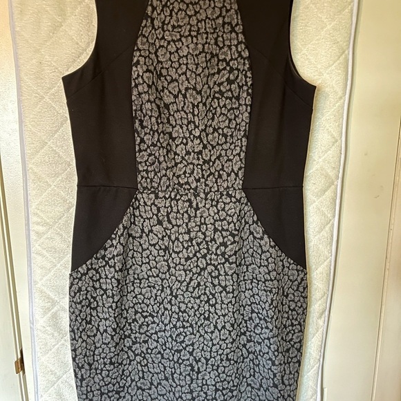 Ann Taylor Professional Dress. Size 10 - Picture 3 of 4